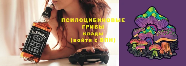 мяу мяу мука Белокуриха