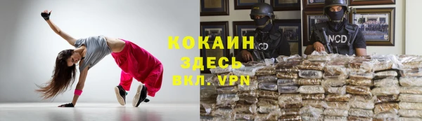 мяу мяу мука Белокуриха